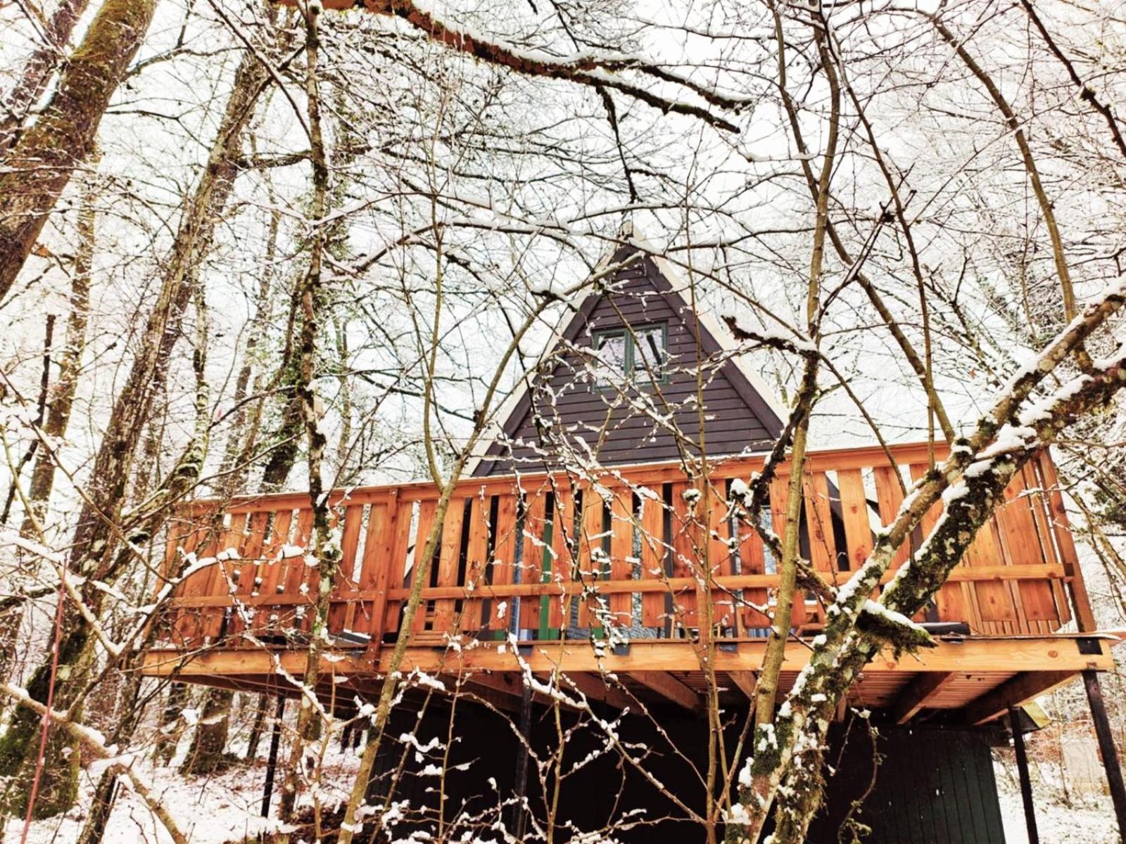 Chalet 139 Hakuna Matata Durbuy Exterior foto